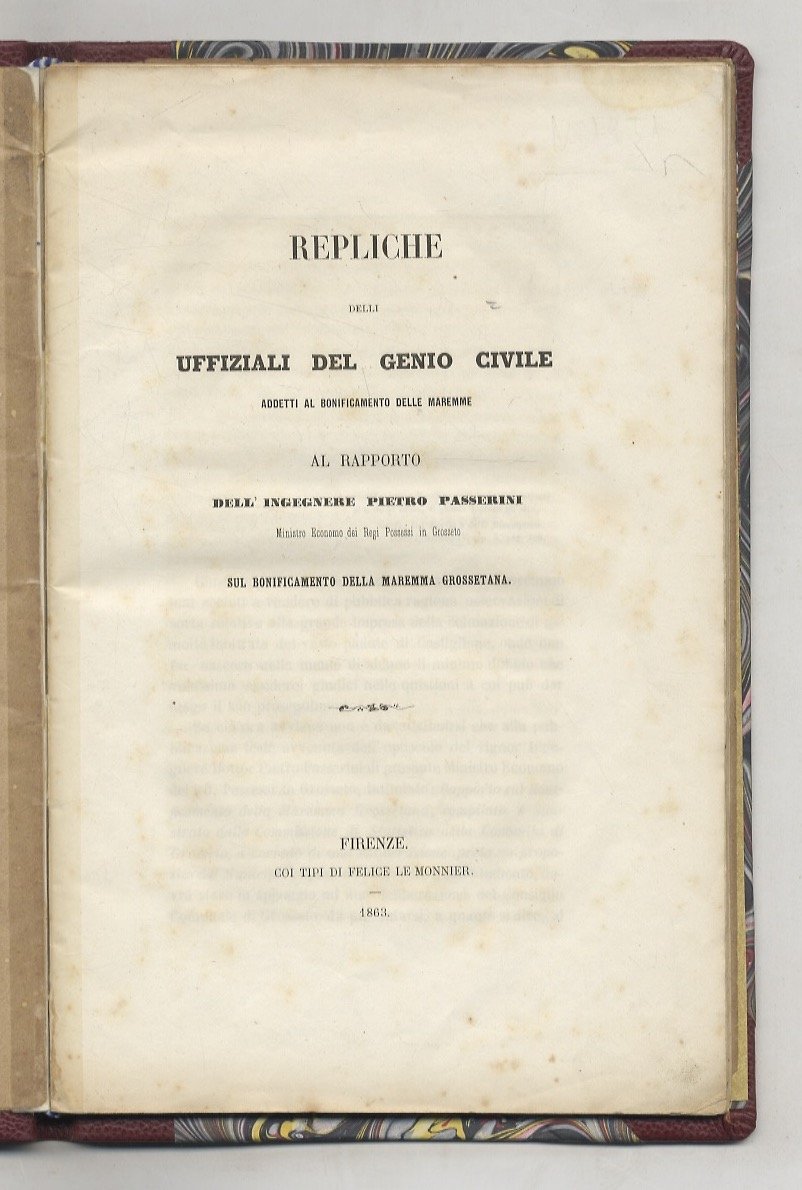 REPLICHE delli Uffiziali del Genio Civile addetti al bonificamento delle … | Immagine principale