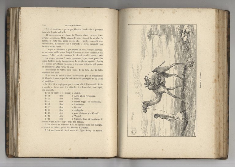 Ricordi di escursioni in Africa dal 1878 al 1881. Diario …