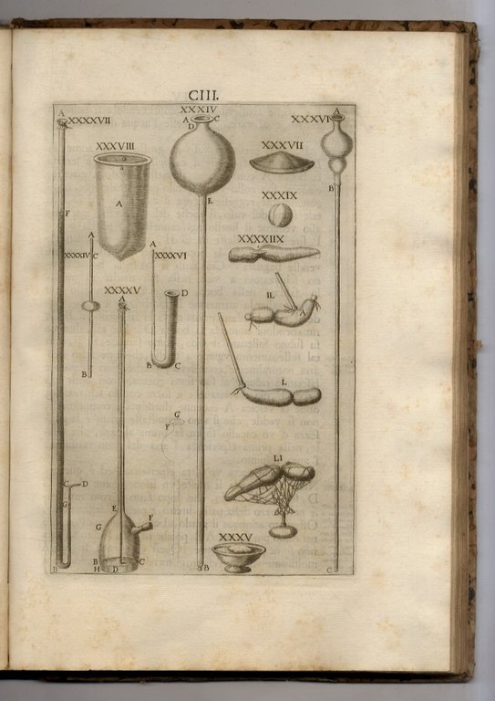 Saggi di naturali esperienze fatte nell'Accademia del Cimento sotto la …