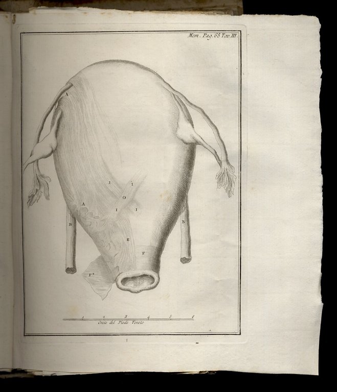 Saggi scientifici e letterari dell'Accademia di Padova. [Volume I].