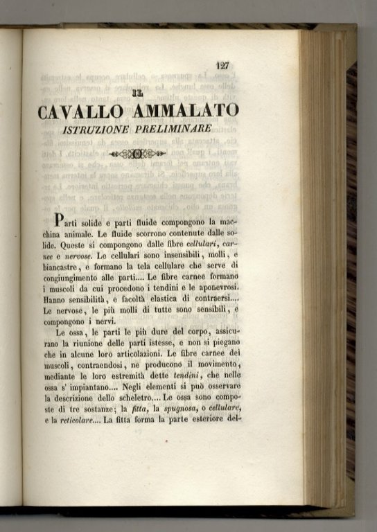 Scuola Equestre di Federigo Mazzuchelli. Elementi di cavallerizza; lezioni equestri; …