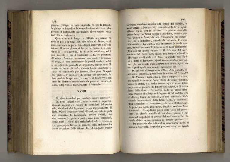 Scuola Equestre di Federigo Mazzuchelli. Elementi di cavallerizza; lezioni equestri; …