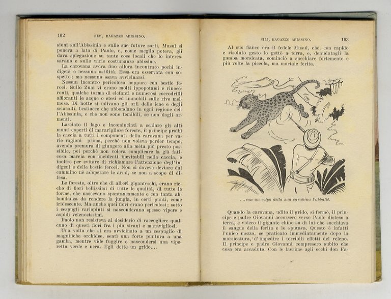 Sim, ragazzo abissino.