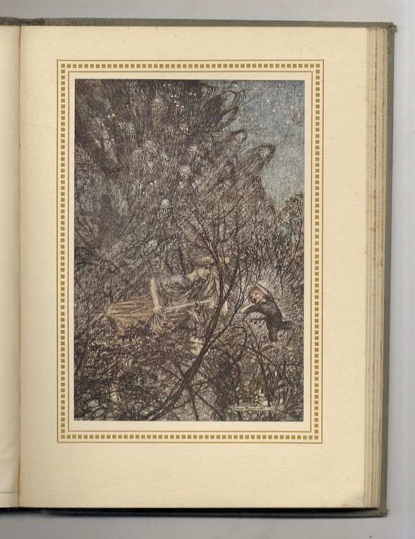 Sogno di una notte di mezza estate [.] Traduzione di …