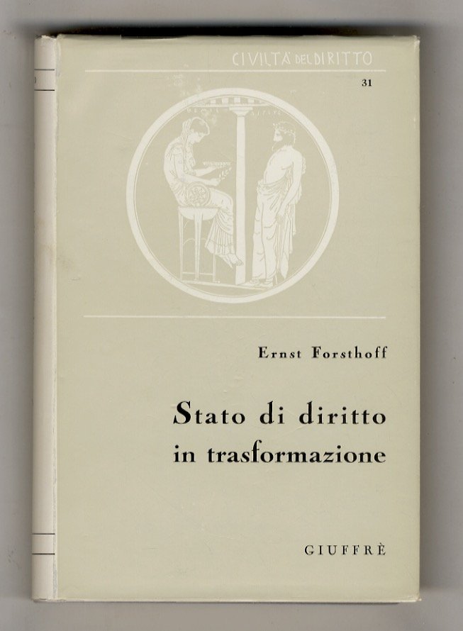 Stato di diritto in trasformazione. A cura di Carlo Amirante.