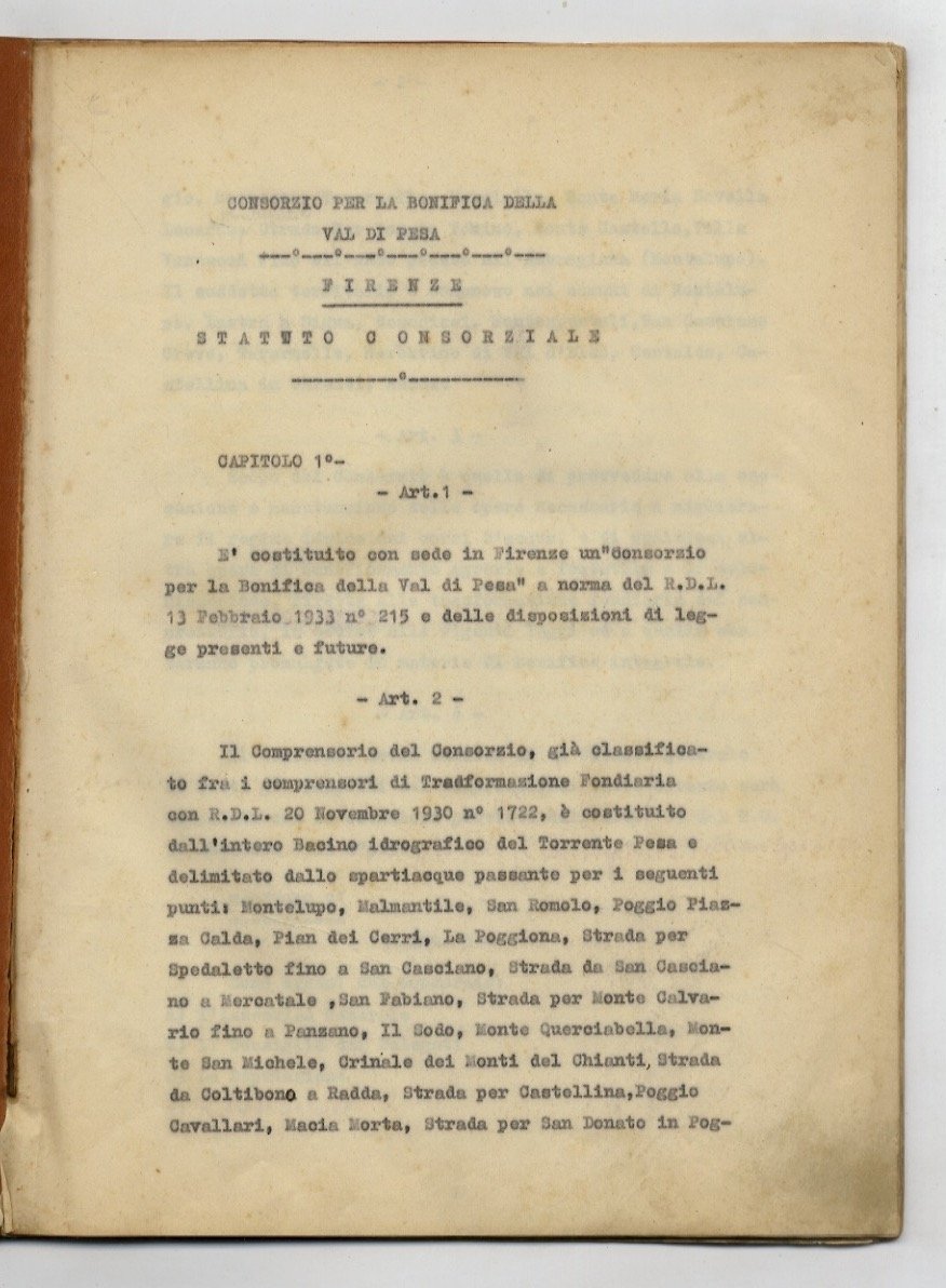 Statuto consorziale.