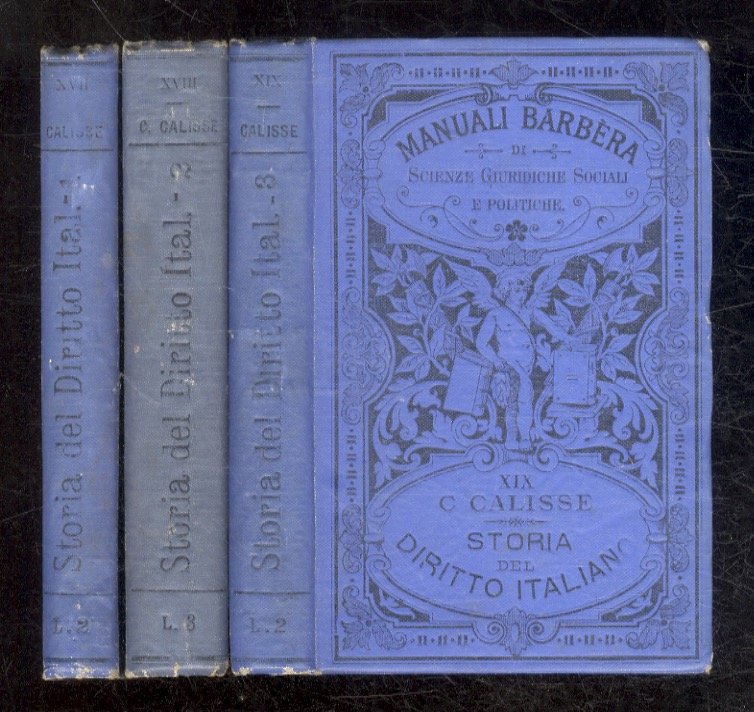 Storia del diritto italiano. (Le fonti. Diritto pubblico. Diritto privato).