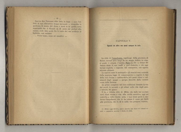 Storia politico-militare del Brigantaggio nelle provincie meridionali d'Italia. Scritta da … | Immagine Gallery 2