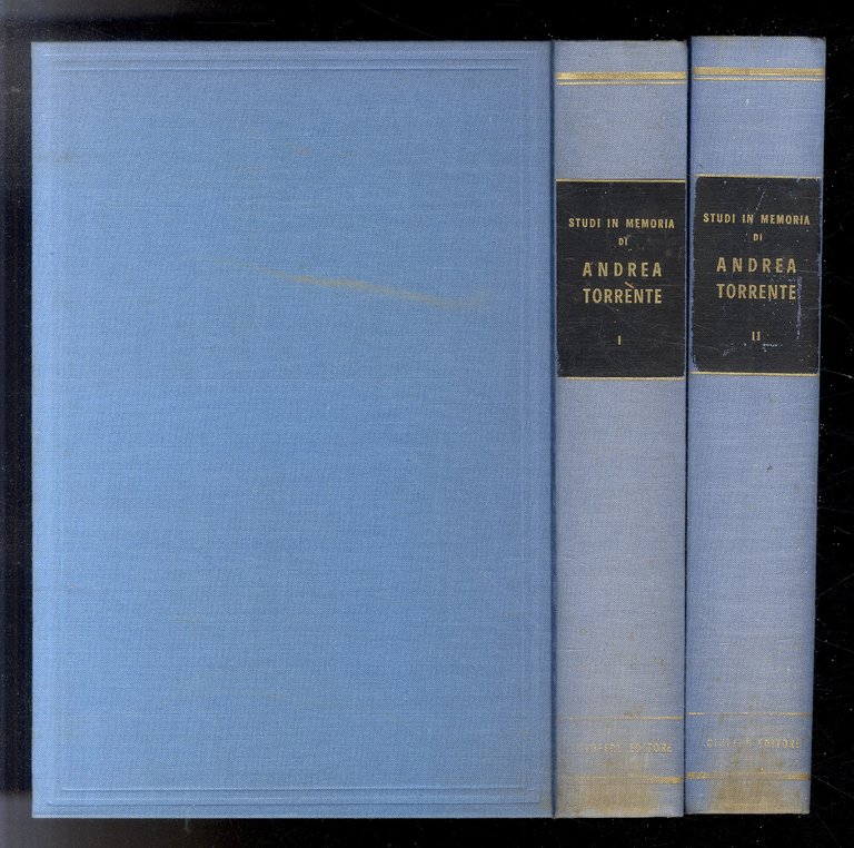 STUDI in memoria di Andrea Torrente.
