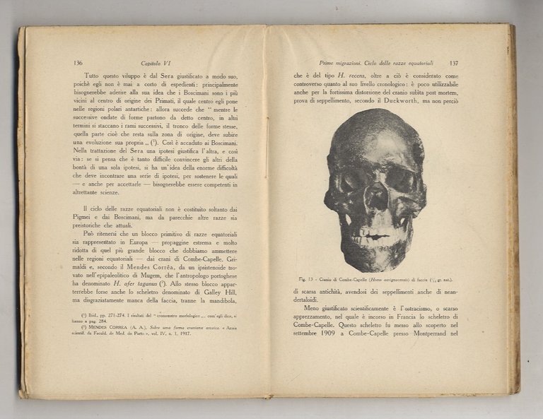 Su l'origine dell'uomo. Nuove teorie e documenti.