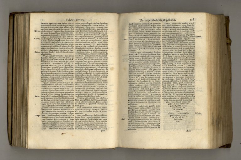 Summa de exemplis, et rerum similitudinibus locupletissima verbi Dei concionatoribus …