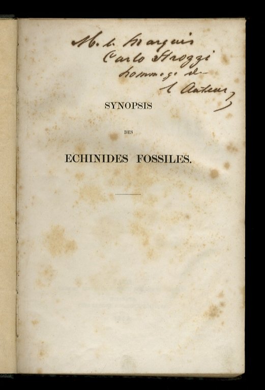 Synopsis des échinides fossiles.