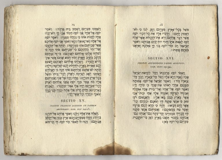 Synopsis institutionum hebraicarum. Edidit Joh. Bern. De-Rossi [.]. [legato con:] … | Immagine Gallery 3