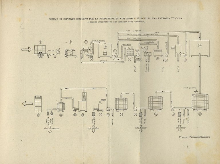 Tecnica della vinificazione moderna. (Dall'uva al vino).