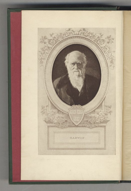 The origin of species [.] With introduction, notes and illustrations. | Immagine Gallery 2