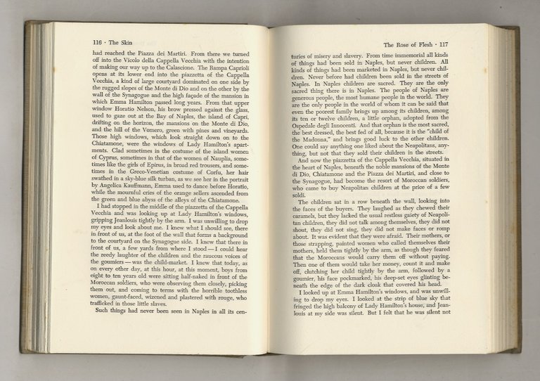 The Skin. Translated from the Italian by David Moore.
