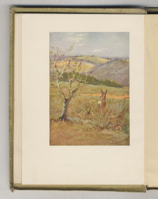 The Trail of the Sandhill Stag.