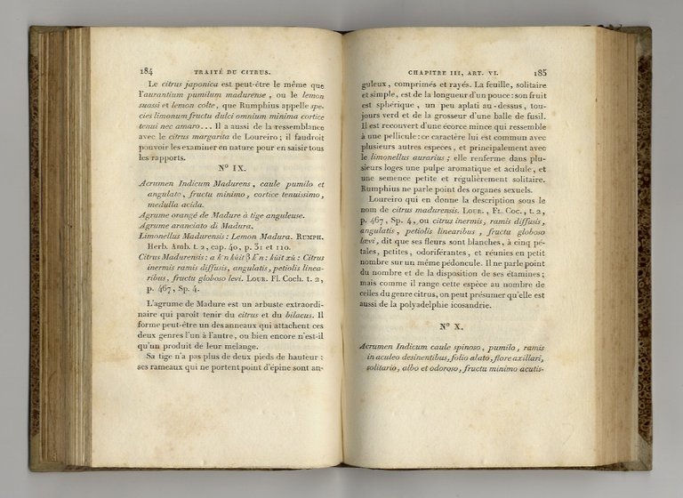 Traité du Citrus par Georges Gallesio, auditeur au Conseil d'état …