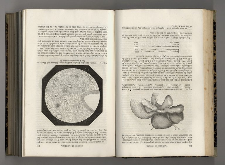 Traité pratique des maladies du foie et des voies biliares. … | Immagine Gallery 2