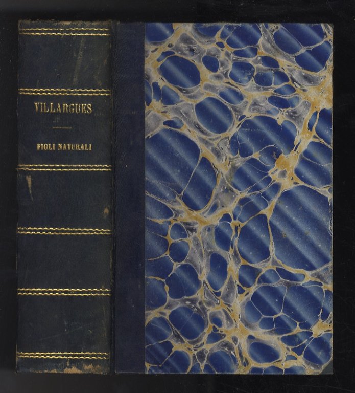 Trattato de' figli naturali secondo i principj del Codice Civile …