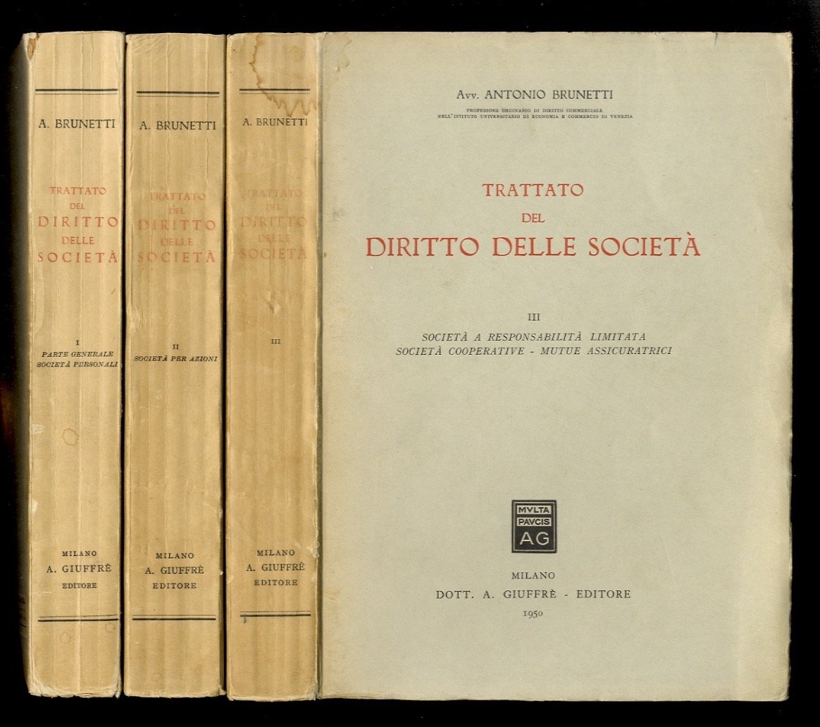 Trattato del diritto delle società.