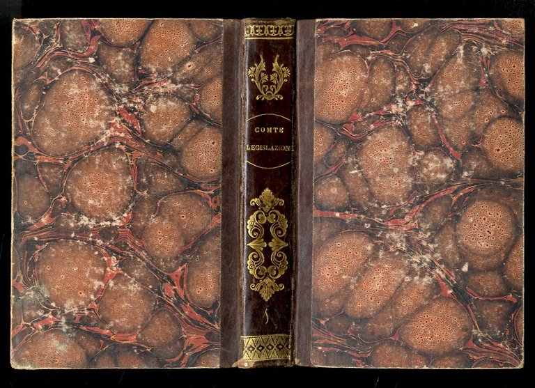 Trattato di legislazione o esposizione delle leggi generali giusta le …