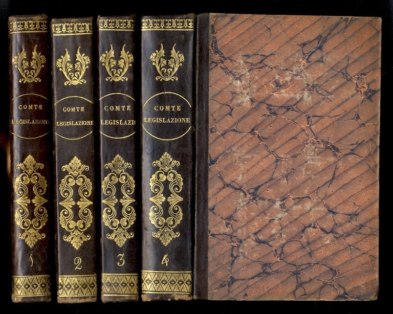 Trattato di legislazione o esposizione delle leggi generali giusta le …