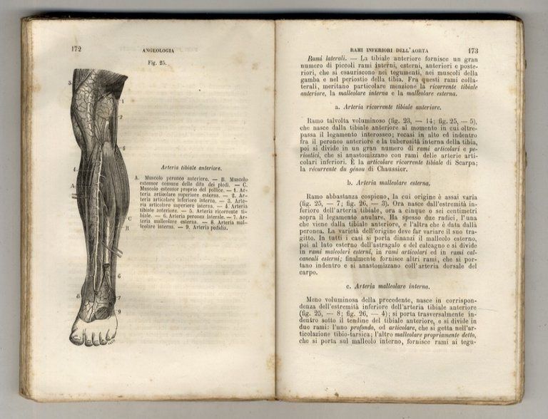 Trattato elementare di Anatomia descrittiva e di preparazioni anatomiche, desunto …