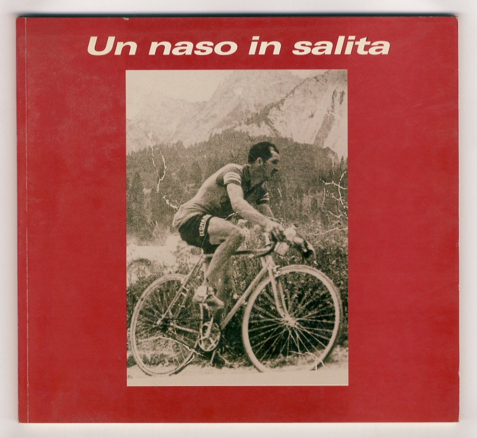 Un naso in salita. Eroi, miti e miserie nell'Italia piccola …