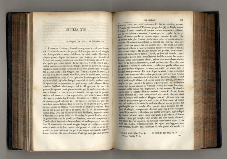 Viaggi di Pietro della Valle il Pellegrino descritti da lui …