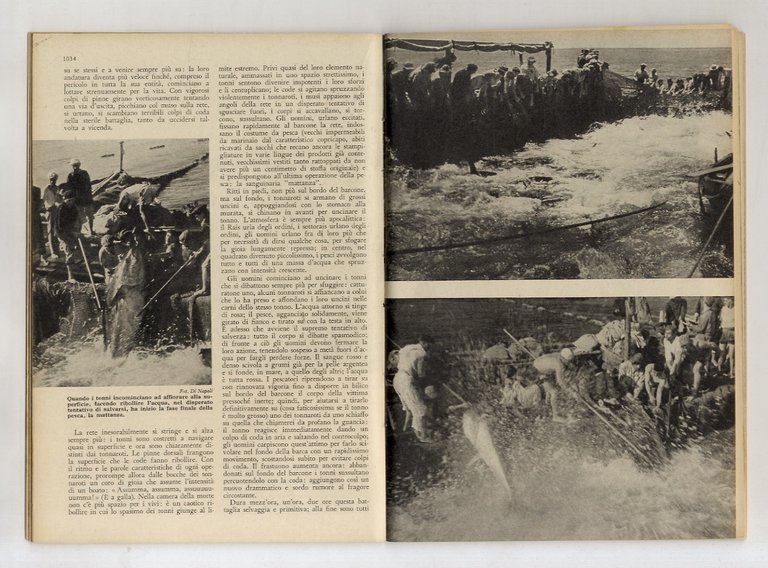 Vie (Le) d'Italia. Rivista mensile del Touring Club d'Italia. Anno …