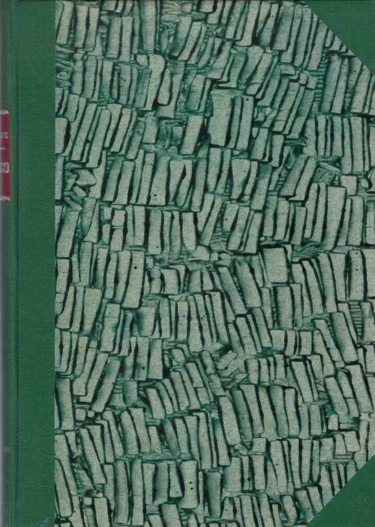 Marocco: con disegni originali di Stefano Ussi e C. Biseo