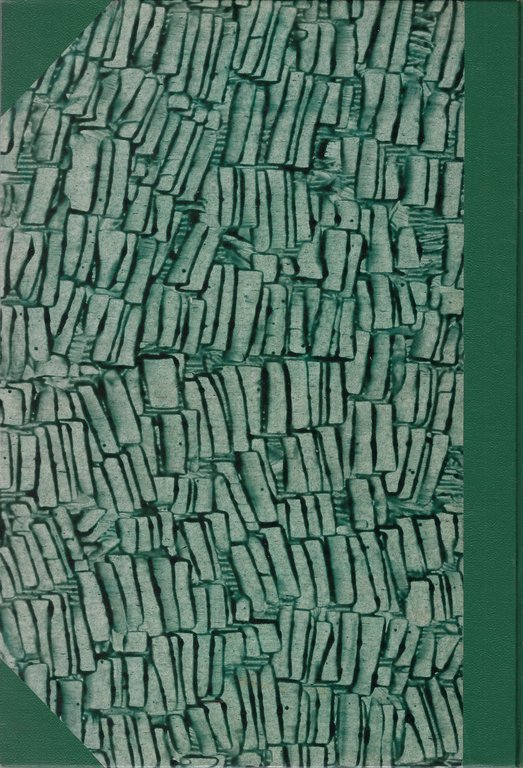 Marocco: con disegni originali di Stefano Ussi e C. Biseo