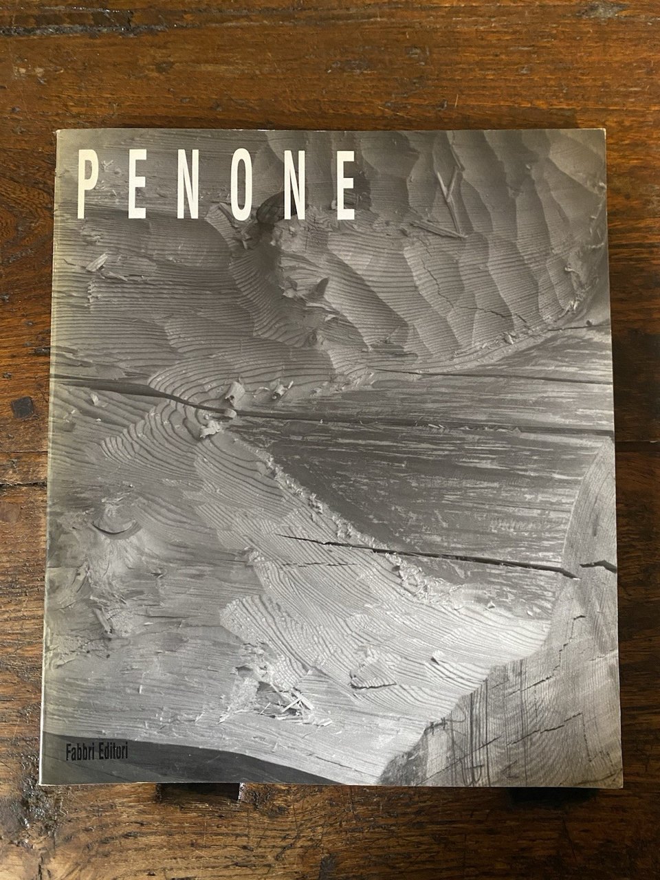 AA.VV. Giuseppe Penone Milano Fabbri 1991