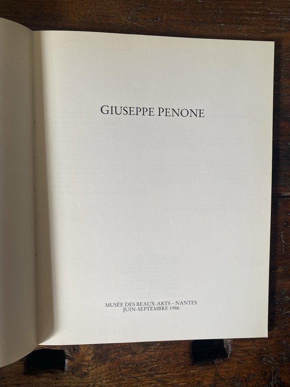 AA.VV. Giuseppe Penone Nantes Musée des Beaux-Arts-Nantes 1986