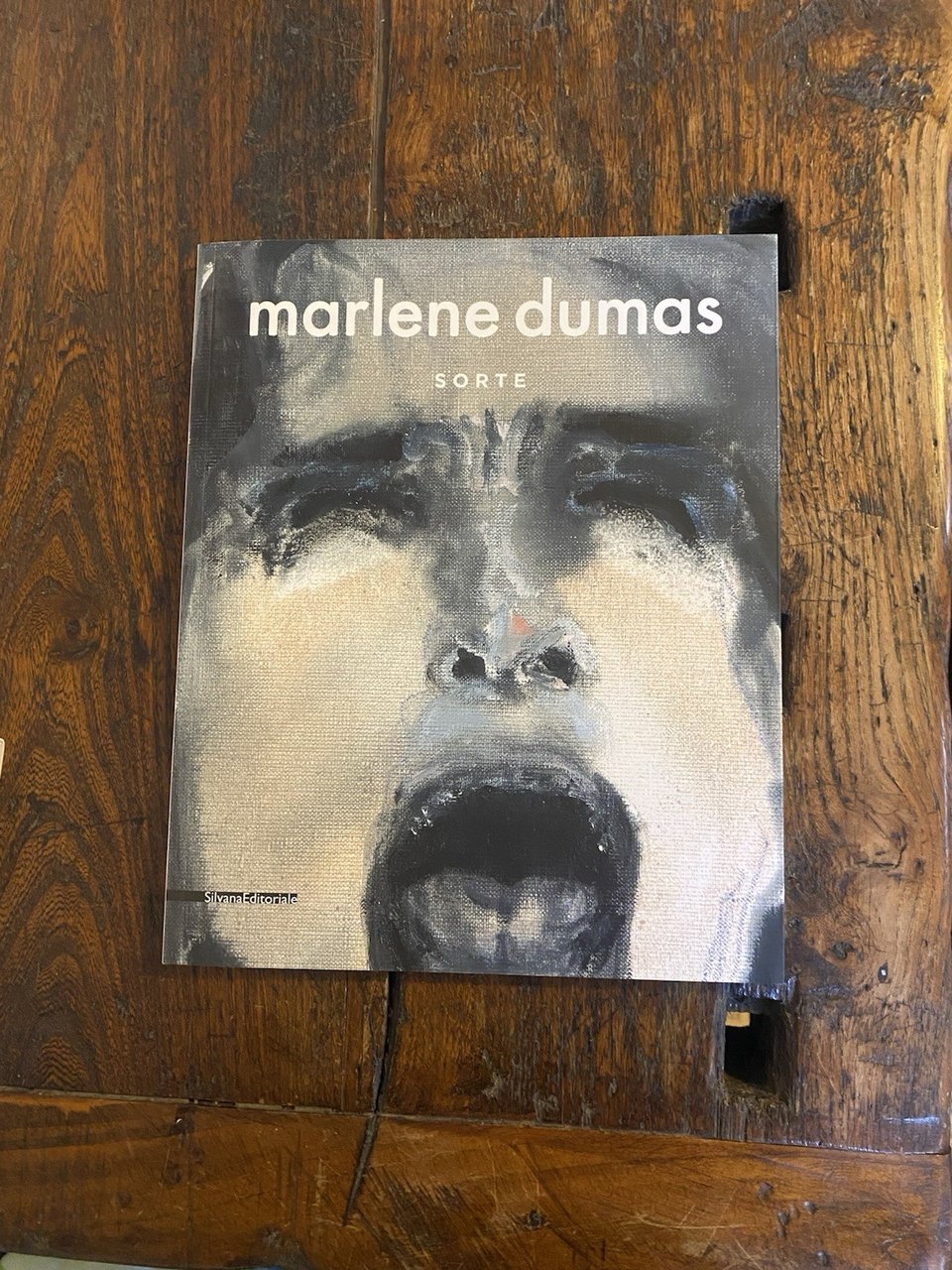 AA.VV. Marlene Dumas Sorte Milano Silvana 2012 | Immagine principale