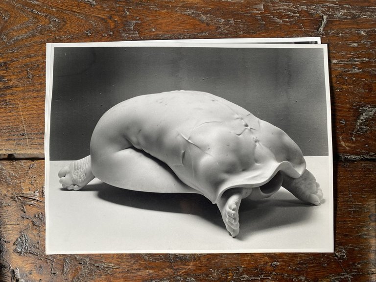 Amendola Aurelio Tre fotografie 24 x 18 cm. su Finotti …