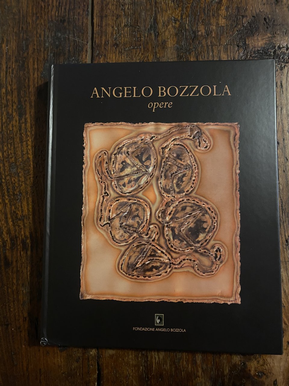 Angelo Bozzola Opere