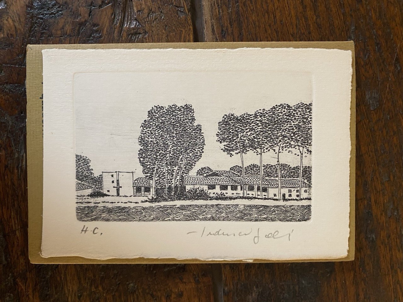 Autografato Galli Federica De Pisis Reggio Emilia Galleria La scaletta …