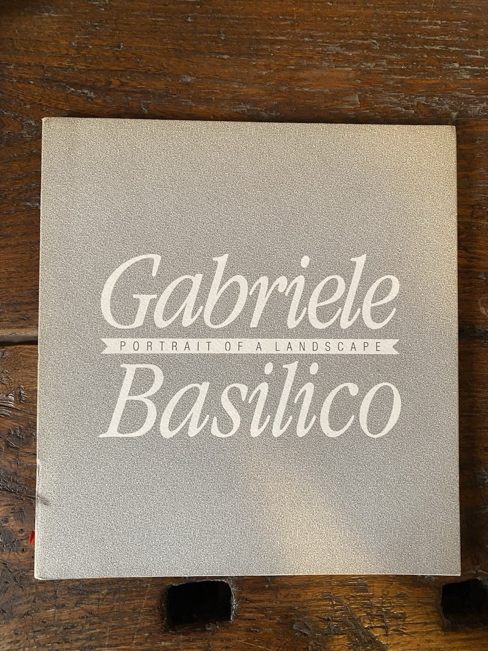Basilico Gabriele Portrait a Landascape New York Philippe Daverio 1988