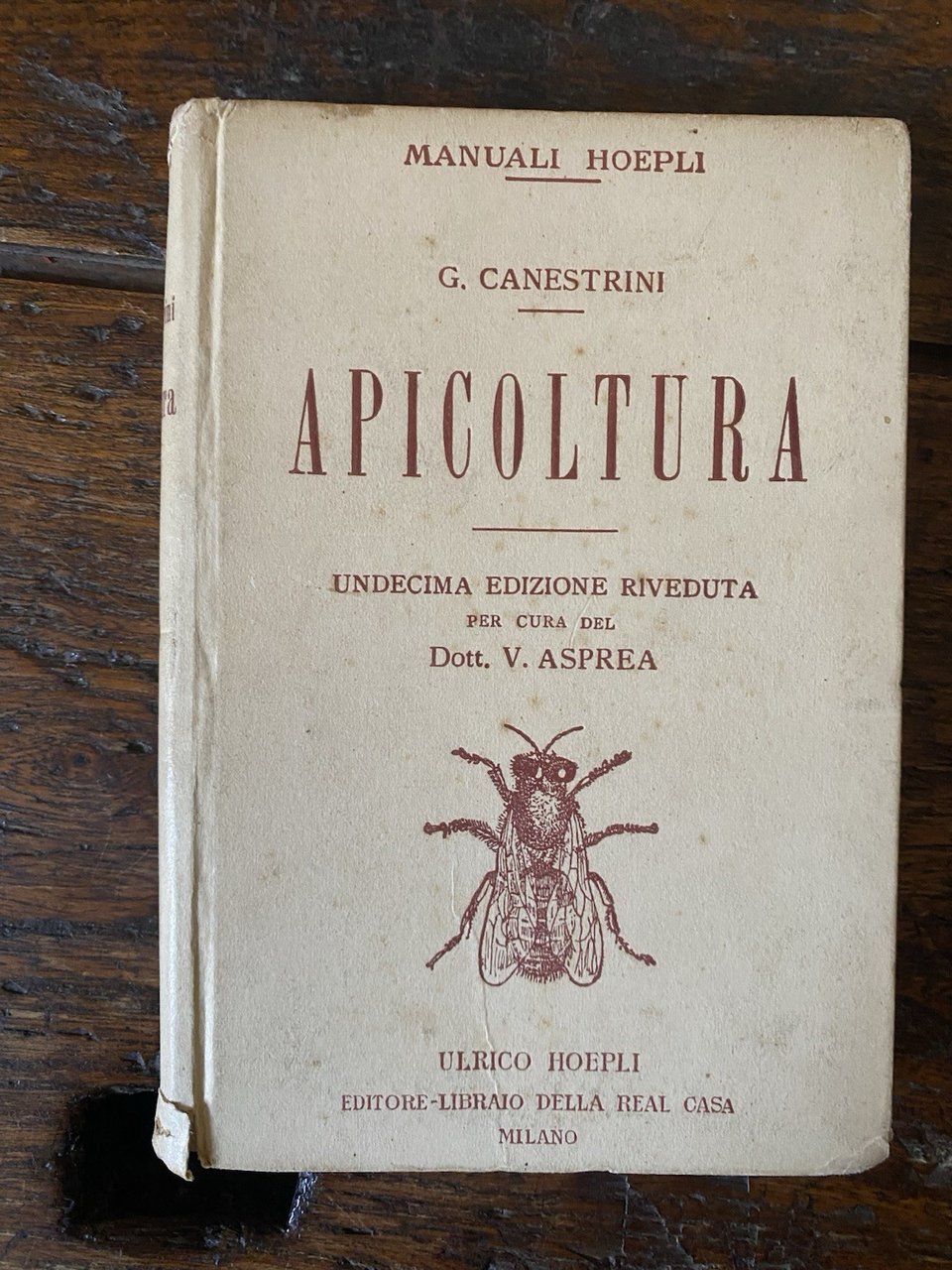 Canestrini Asprea Apicoltura Milano Hoepli 1925 | Immagine principale