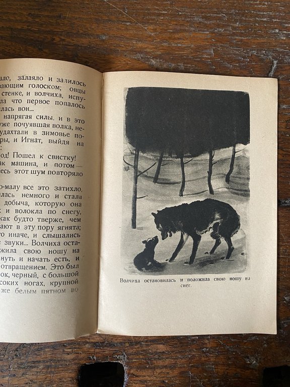 Chekhov Anton Plavovich Belolobyy White-Fronted Moscow Leningrad Detizdat 1936 | Immagine Gallery 3