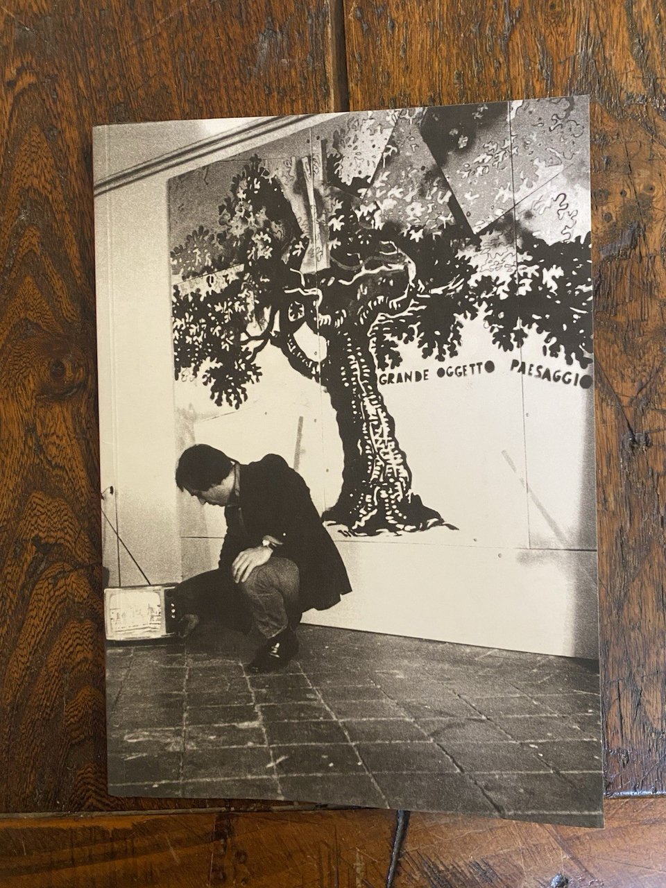 Cherubini Laura a cura di, Mario Schifano 1960 - 1965 …