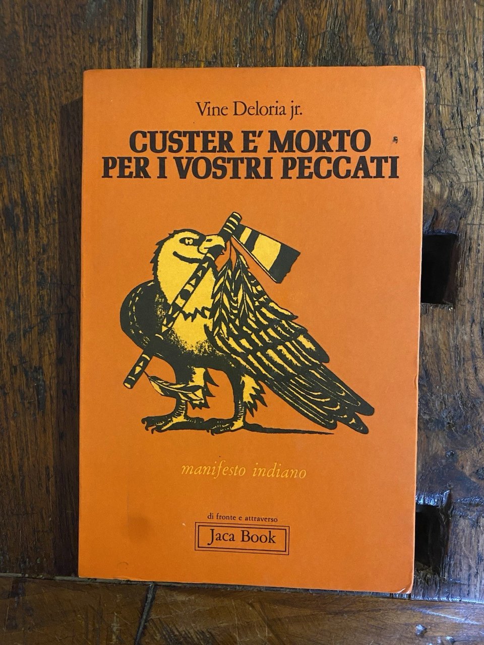 Deloria Vine jr. Custer è morto per i vostri peccati …