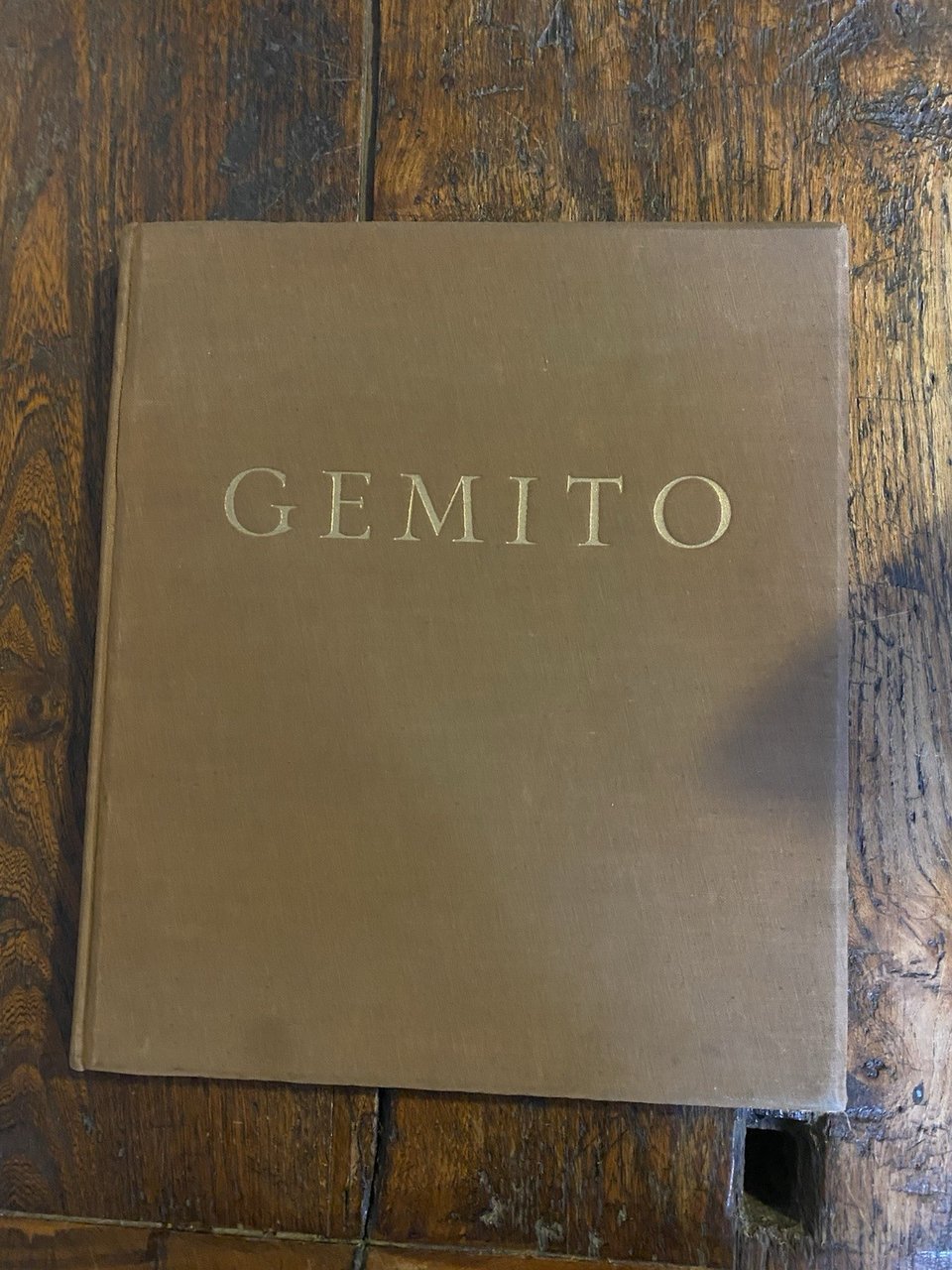 Di Giacomo Salvatore Vincenzo Gemito Vita e opere Napoli Amm. …