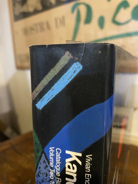 Endicott Barnett Vivian Kandinsky Catalogue Raisonné of the Watercolours