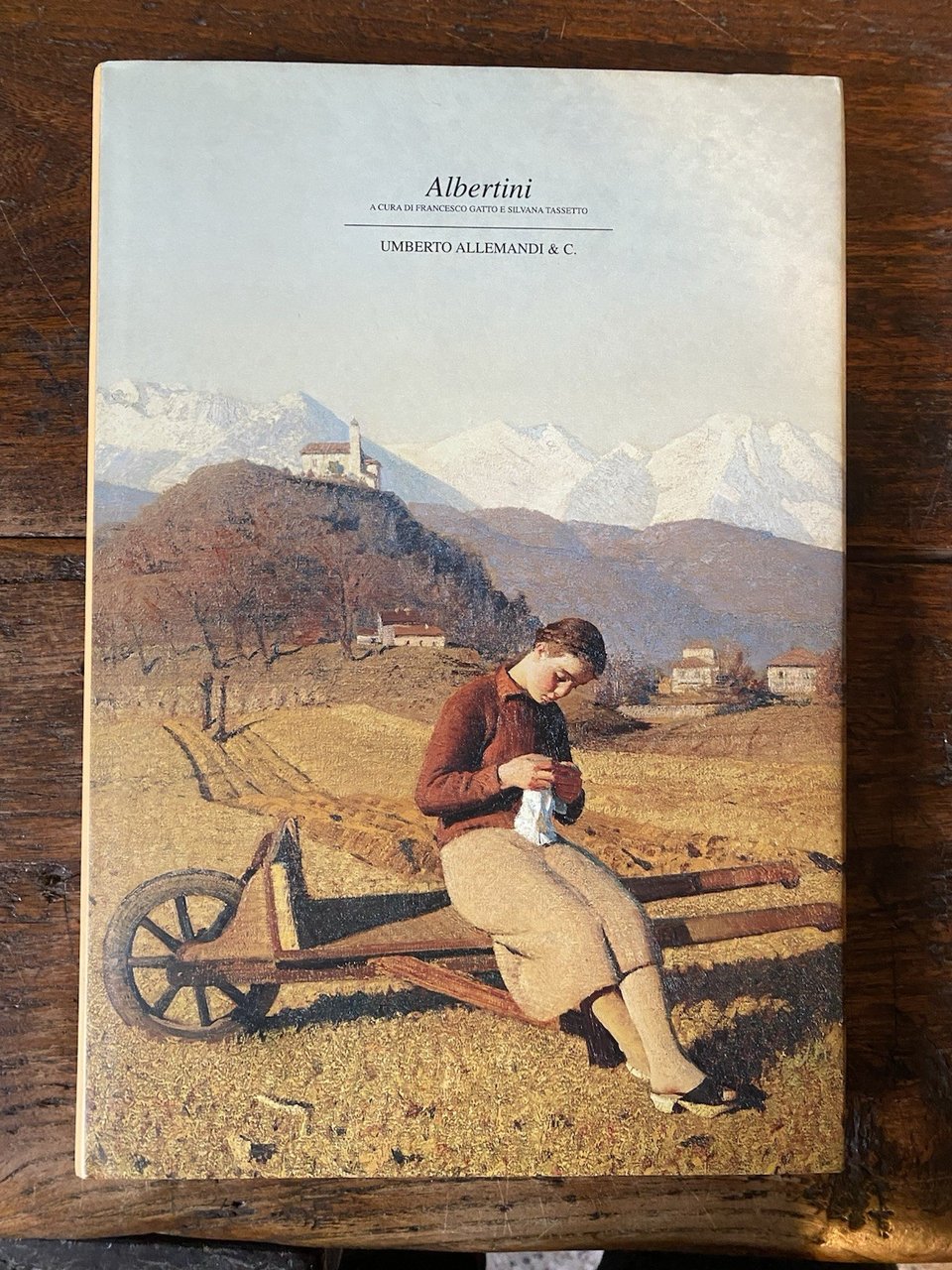 Gatto Francesco Tassetto Silvana a cura di, Oreste Albertini Torino … | Immagine principale