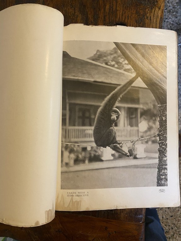 Holme Charles Colour Photography Paris The Studio 1908