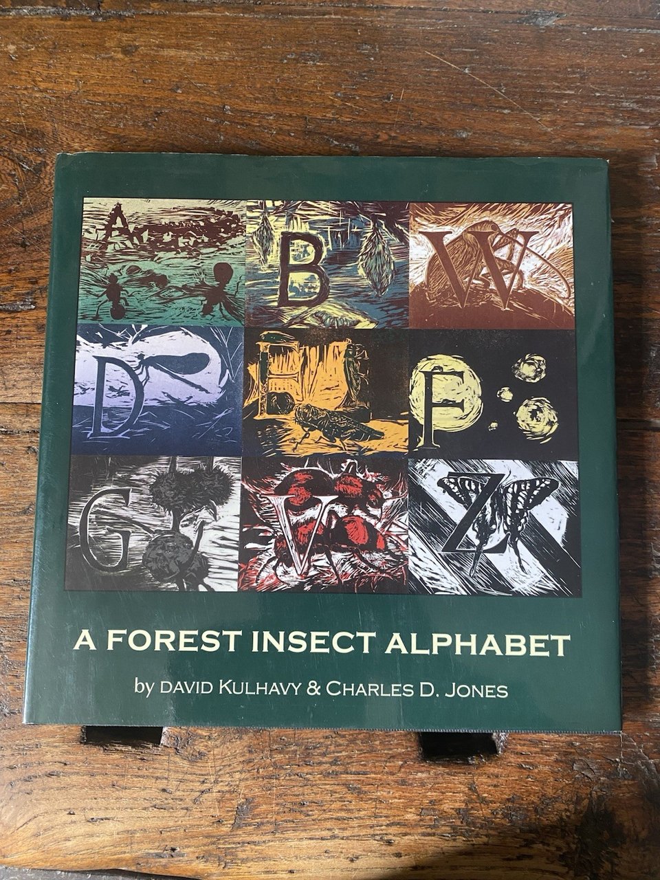 Kulhavy David Jones Charles D. A Forest Insect Alphabet Austin … | Immagine principale
