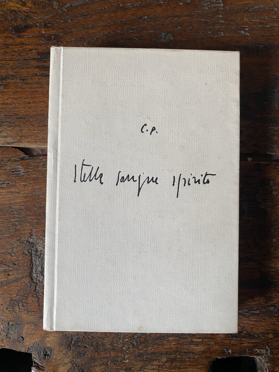 Parmiggiani Claudio Stella Sangue Spirito Parma Nuova Pratiche 1995 | Immagine principale